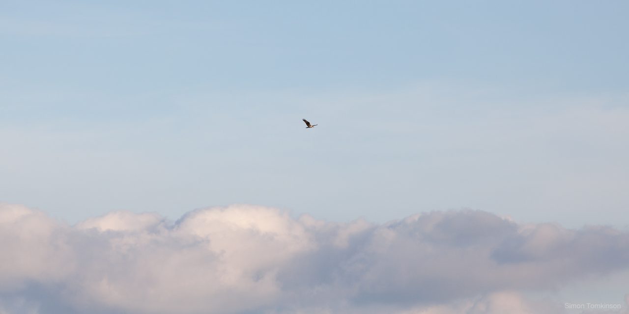 Cloud sailing