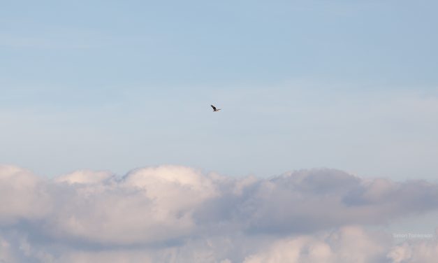 Cloud sailing